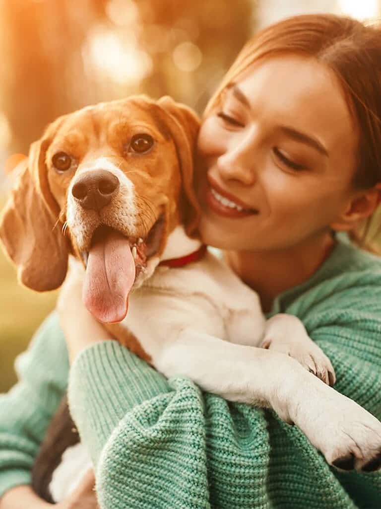 5 dicas para quem ama pets