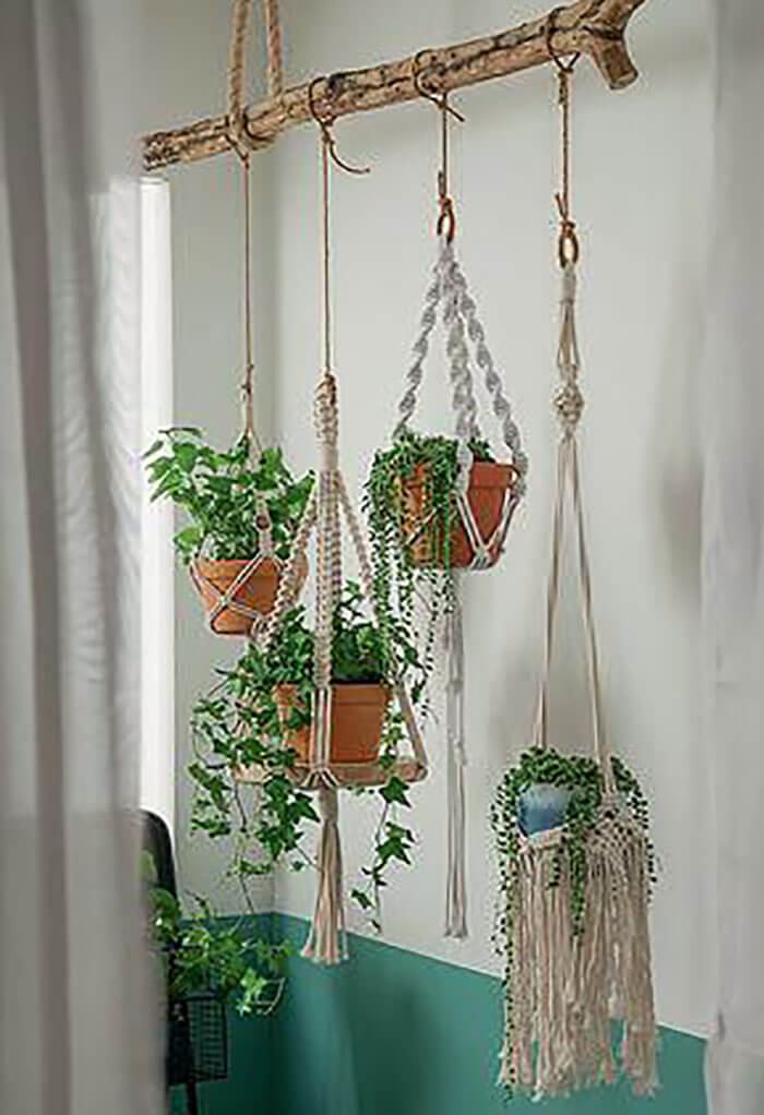 vasos de planta pendurados em macrame, decoração boho