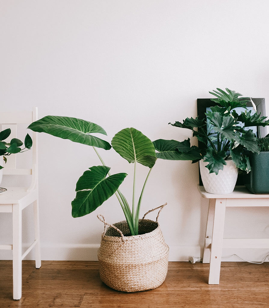 Estilo Boho: expresse sua personalidade na decoração