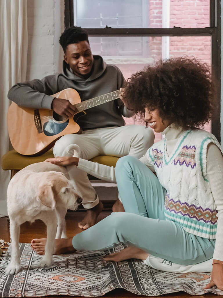 Pet place, entenda esse conceito e veja dicas para montar o seu