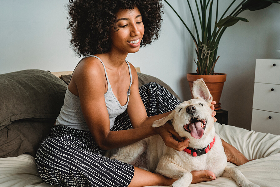 Mulher negra com roupas confortáveis, brincando com cachorro branco em uma cama.