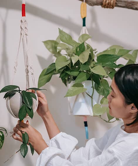 mulher colocando planta em vaso pendente