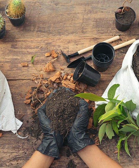 pessoa pegando terra para colocar em vaso de planta