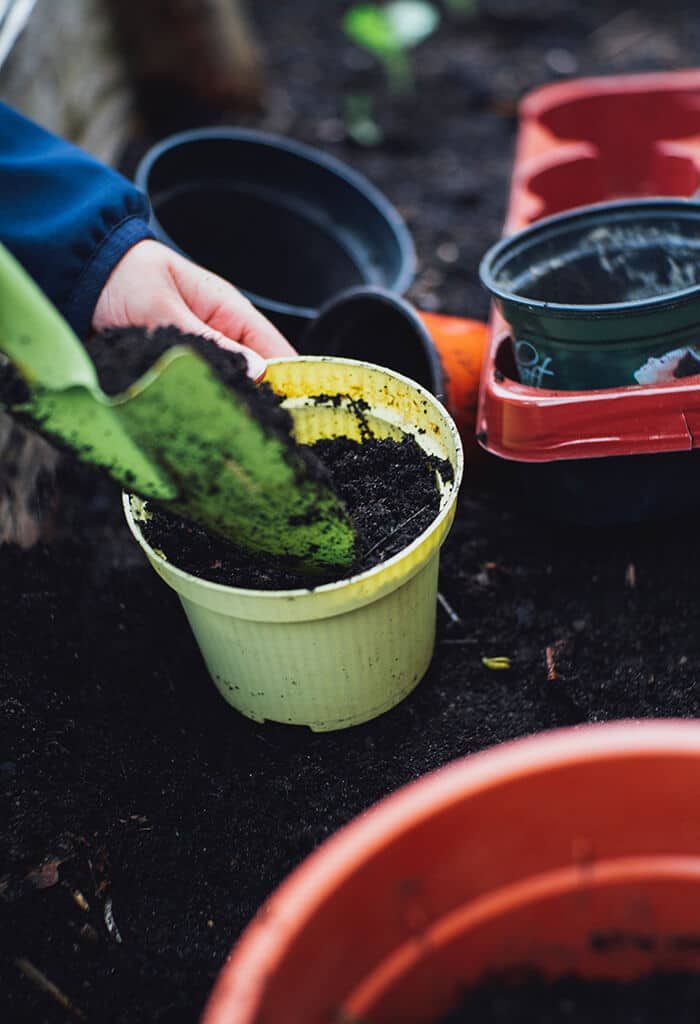 homem adubando plantas, horta em apartamento 