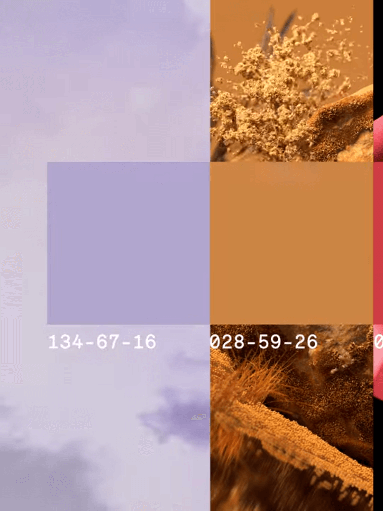 Tendência de cores para 2023: modernize sua decoração