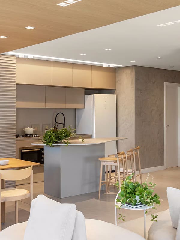 7 plantas para ambientes internos que você deve ter!