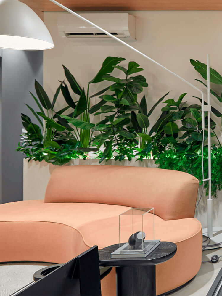 5 tipos de palmeira para cultivar em apartamento e como plantar