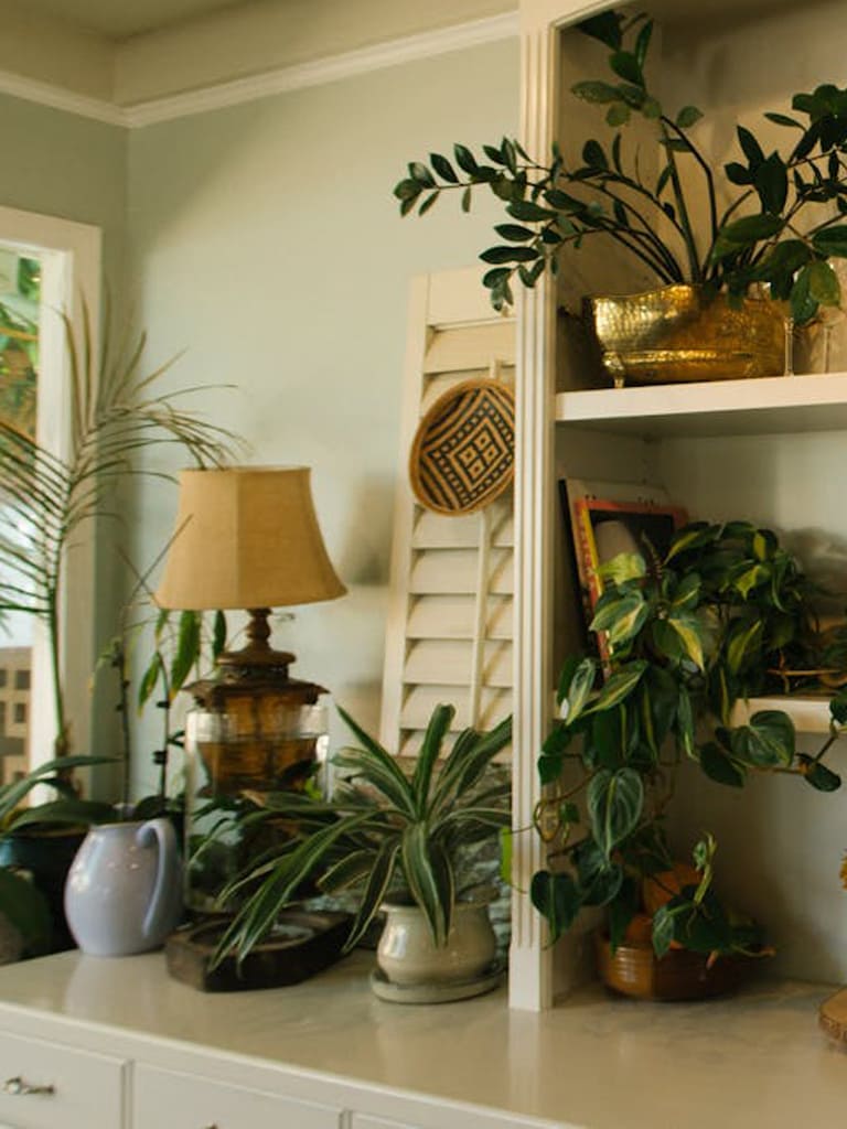 Jardim em apartamento: como criar seu oásis verde com estilo