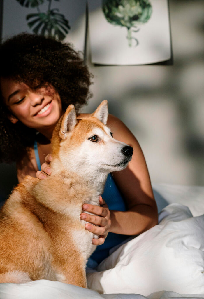 Mulher acariciando um cachorro shiba inu na cama