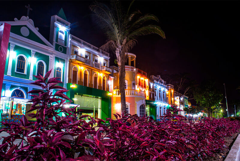 Calle colorida à noite com plantas roxas em primeiro plano