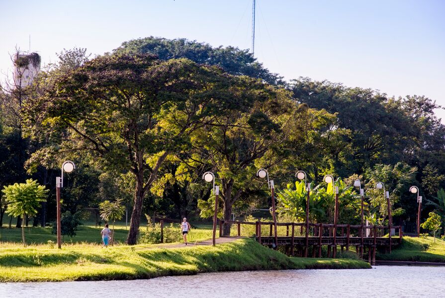 Pessoa caminhando em parque com lago e árvores verdes